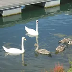 Les Cygnes Holiday home