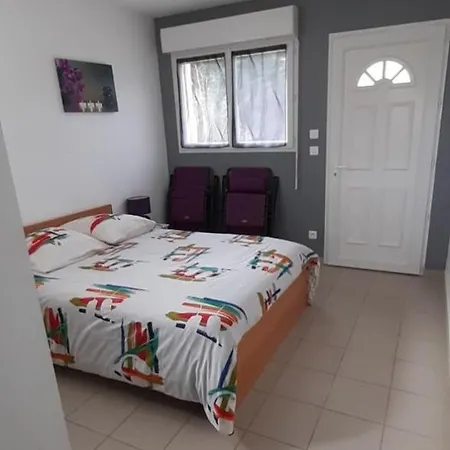 Les Cygnes Criel-sur-Mer