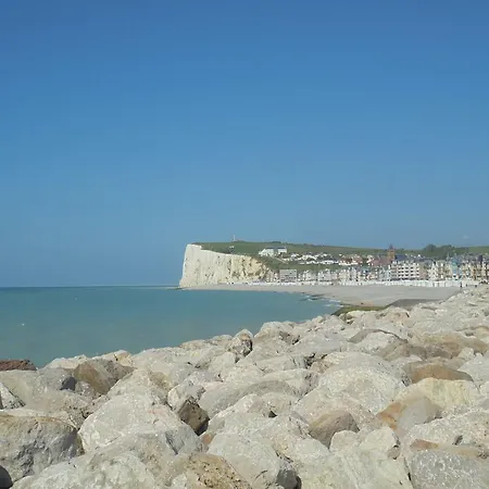 Les Cygnes Criel-sur-Mer