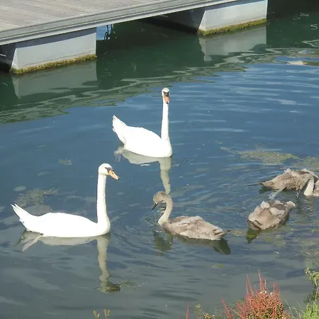 Les Cygnes Vakantiehuis